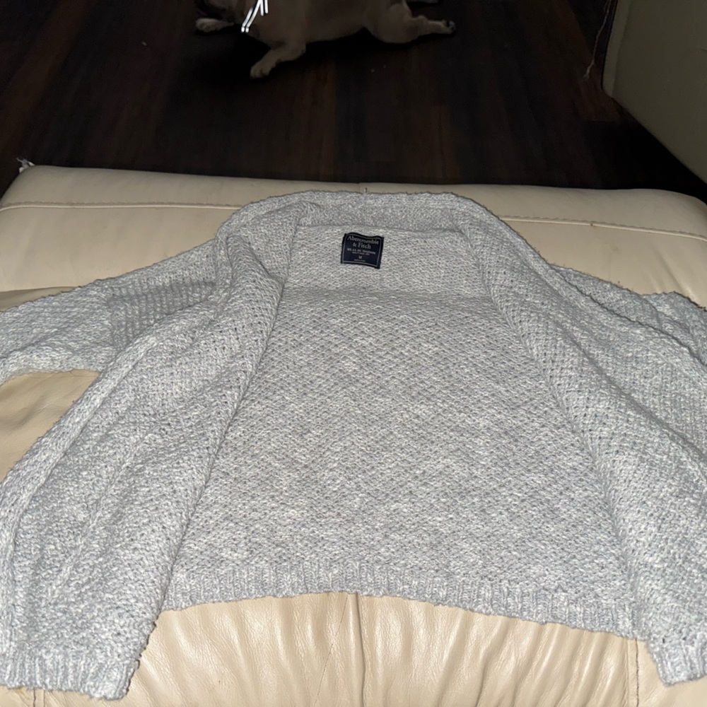 Abercrombie & Fitch Light Gray Knit Sweater